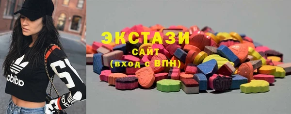 дмт Богородск