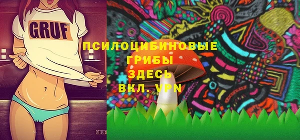дмт Богородск