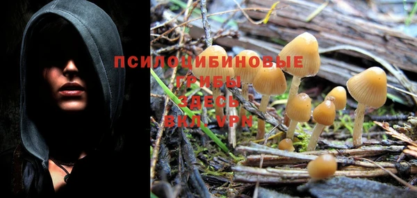 кристаллы Богданович